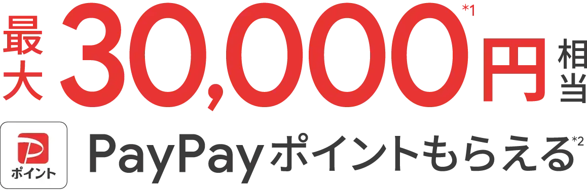 最大30,000円相当 PayPayポイントもらえる