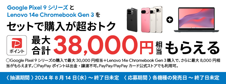 Google Pixel 9シリーズ と Lenovo 14e Chromebook Gen 3 をセットでご購入が超オトク PayPayポイント 最大合計38,000円相当もらえる