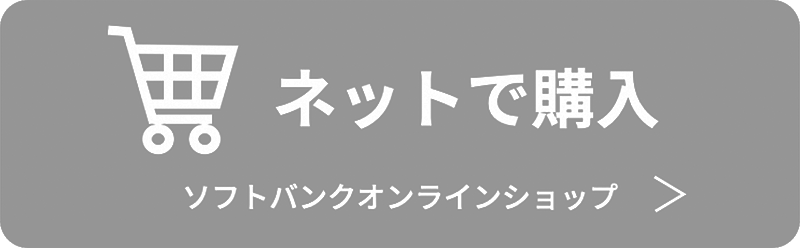 ネットで購入