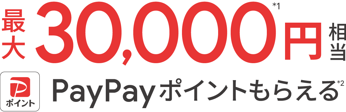 最大30,000円相当 PayPayポイントもらえる