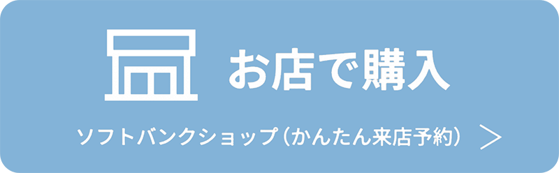 お店で購入