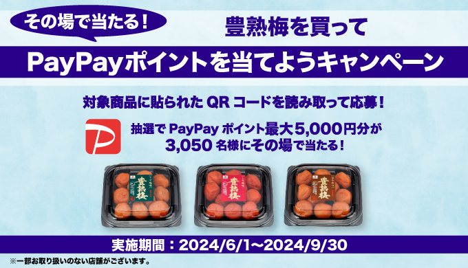 中田食品|その場で当たる!豊熟梅を買ってPayPayポイントを当て 中田食品|その場で当たる!豊熟梅を買ってPayPayポイントを当て